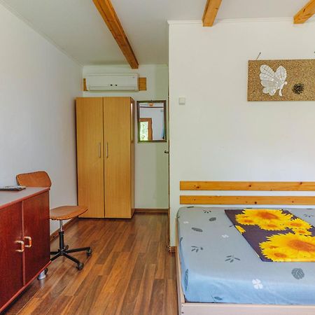 Hotel Casa Dexter Vama Veche Zewnętrze zdjęcie