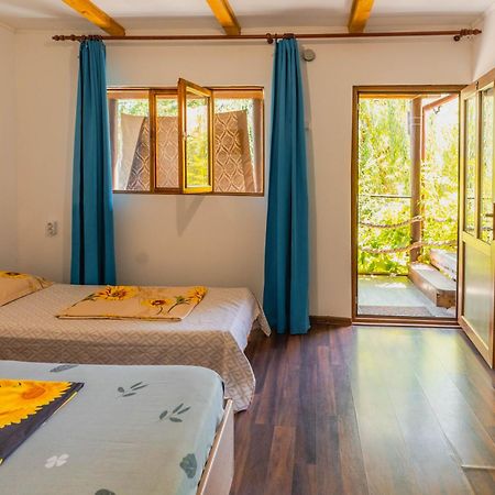 Hotel Casa Dexter Vama Veche Zewnętrze zdjęcie