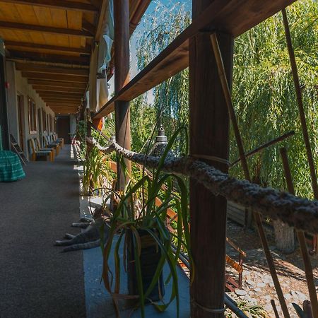 Hotel Casa Dexter Vama Veche Zewnętrze zdjęcie