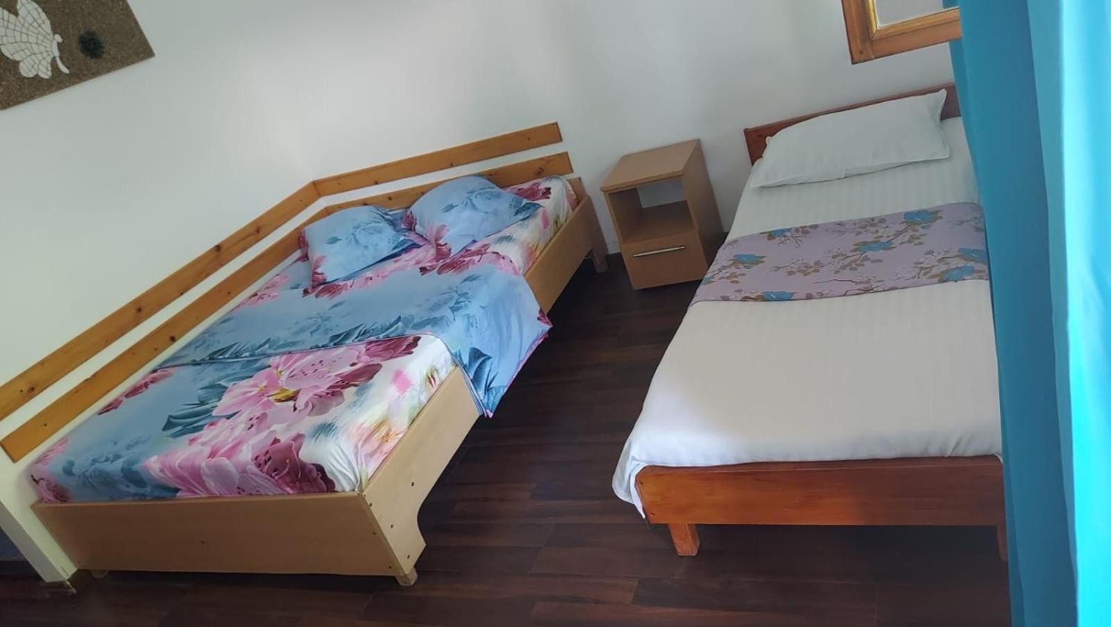 Hotel Casa Dexter Vama Veche Zewnętrze zdjęcie