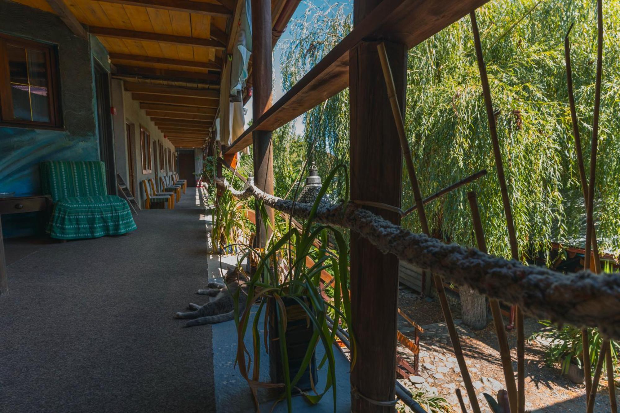 Hotel Casa Dexter Vama Veche Zewnętrze zdjęcie